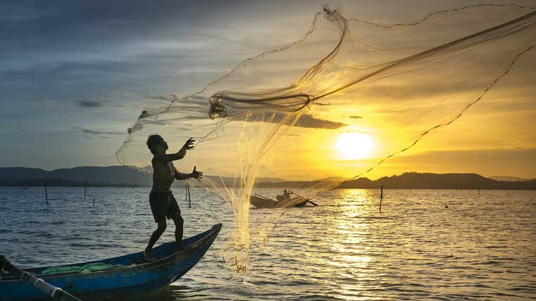 pescados
