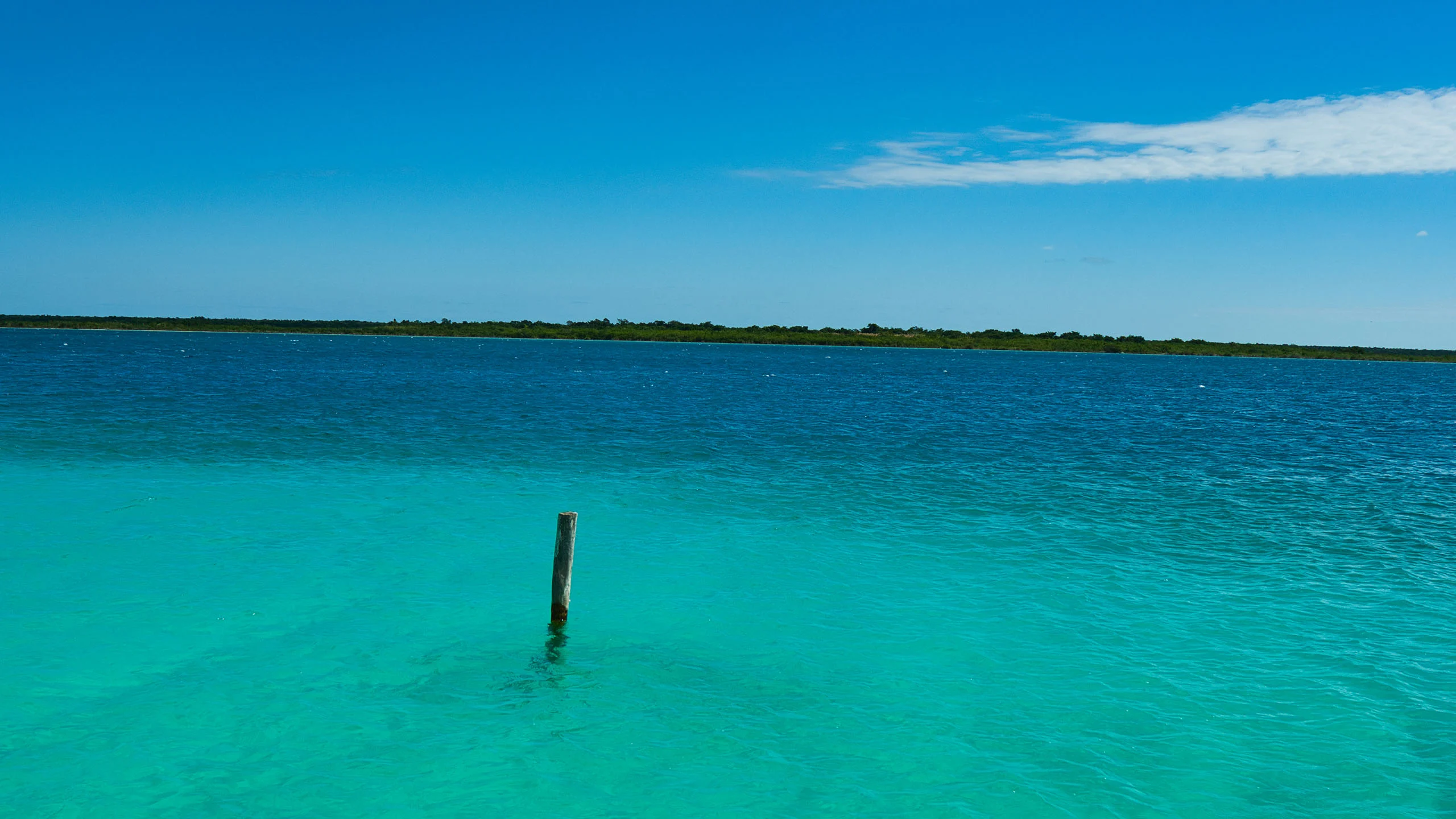 Bacalar está perdiendo sus colores a causa de la contaminación