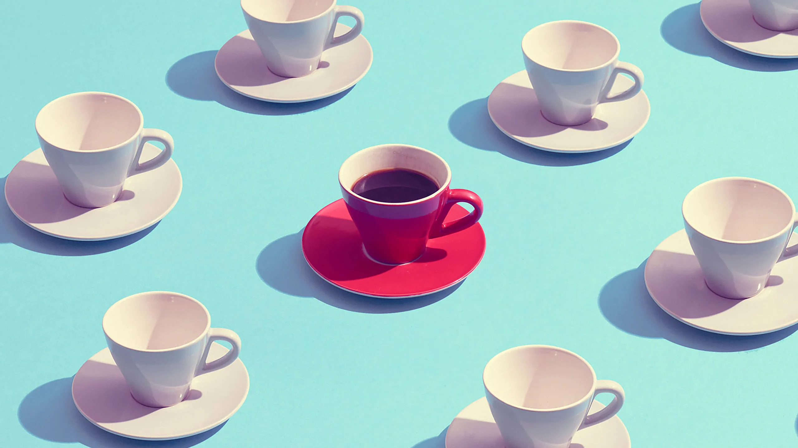 La historia del té y otros datos curiosos