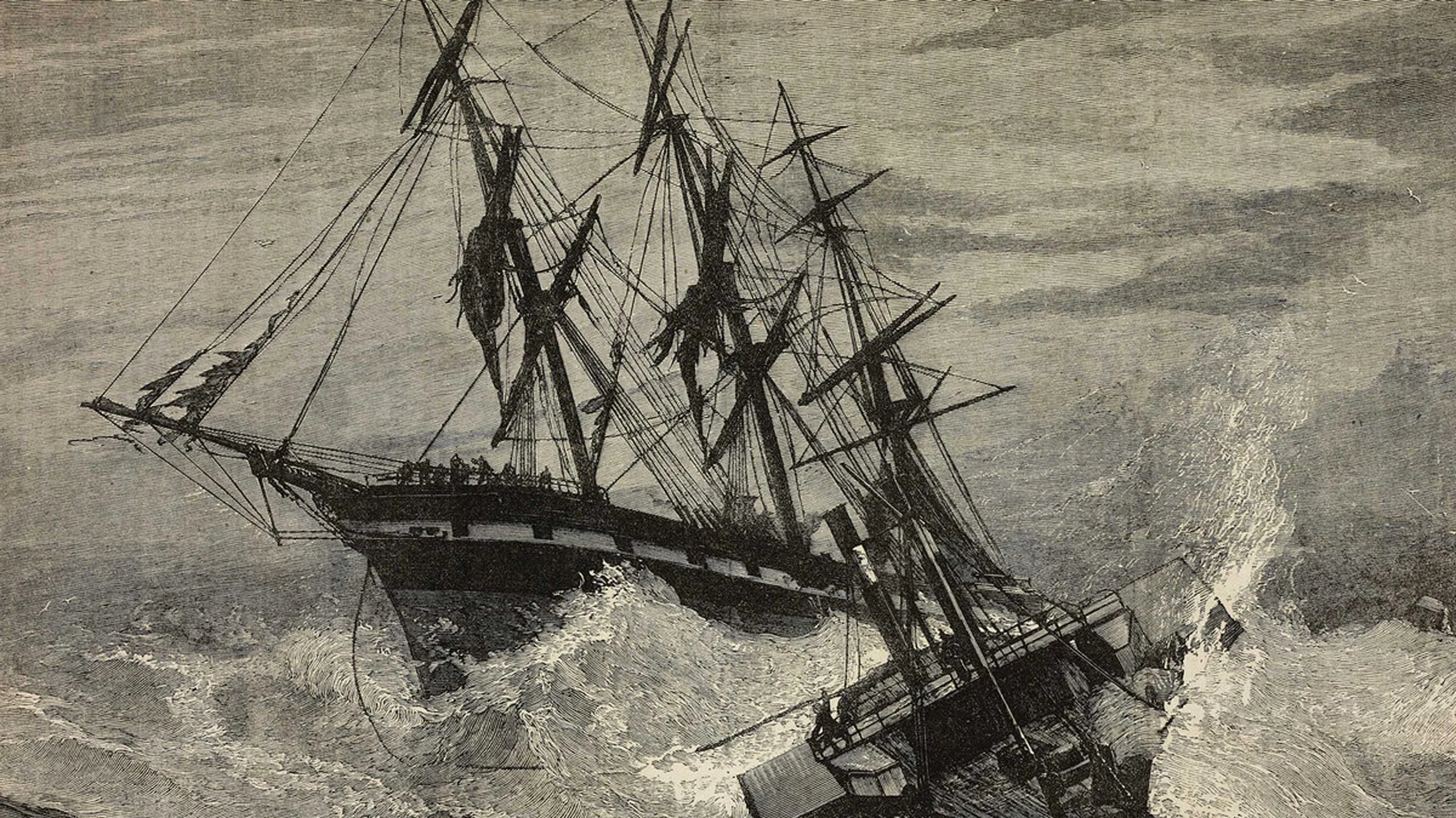 Botellas de vino halladas en naufragio de hace 400 años serán subastadas