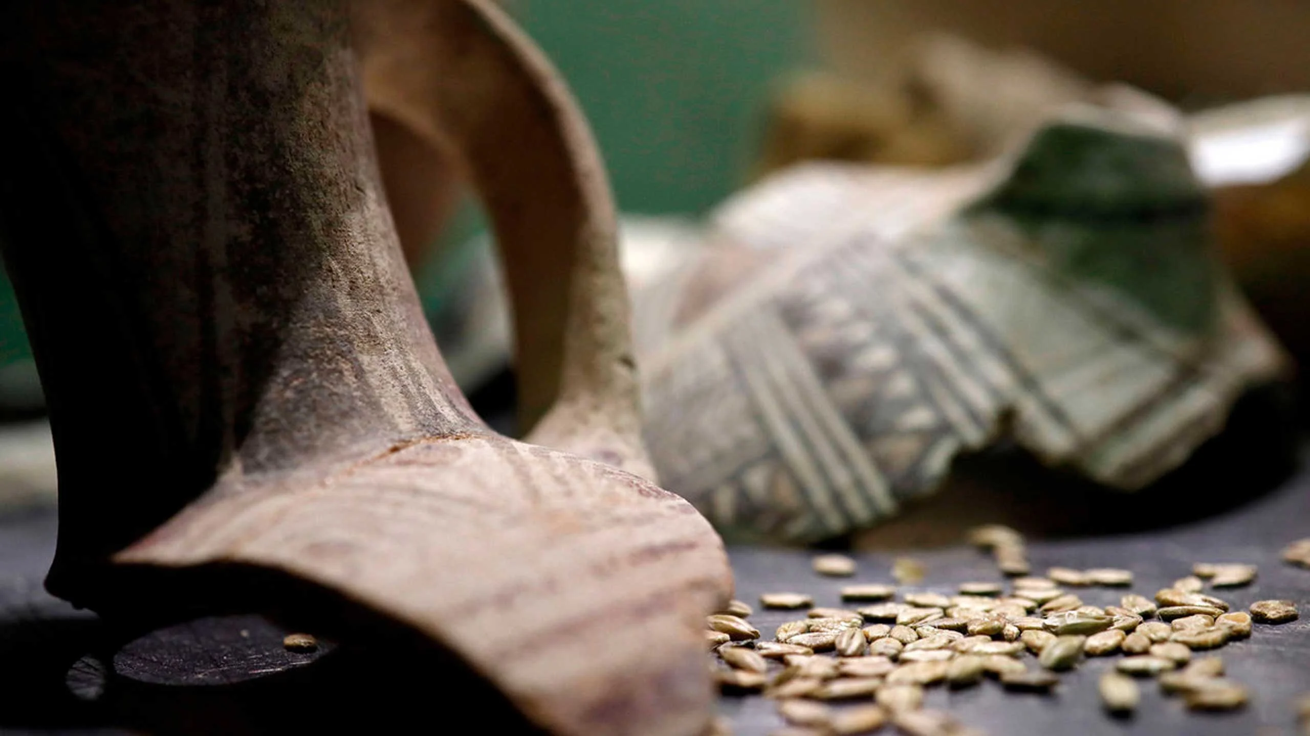Científicos hicieron una cerveza con levadura de 5,000 años de edad