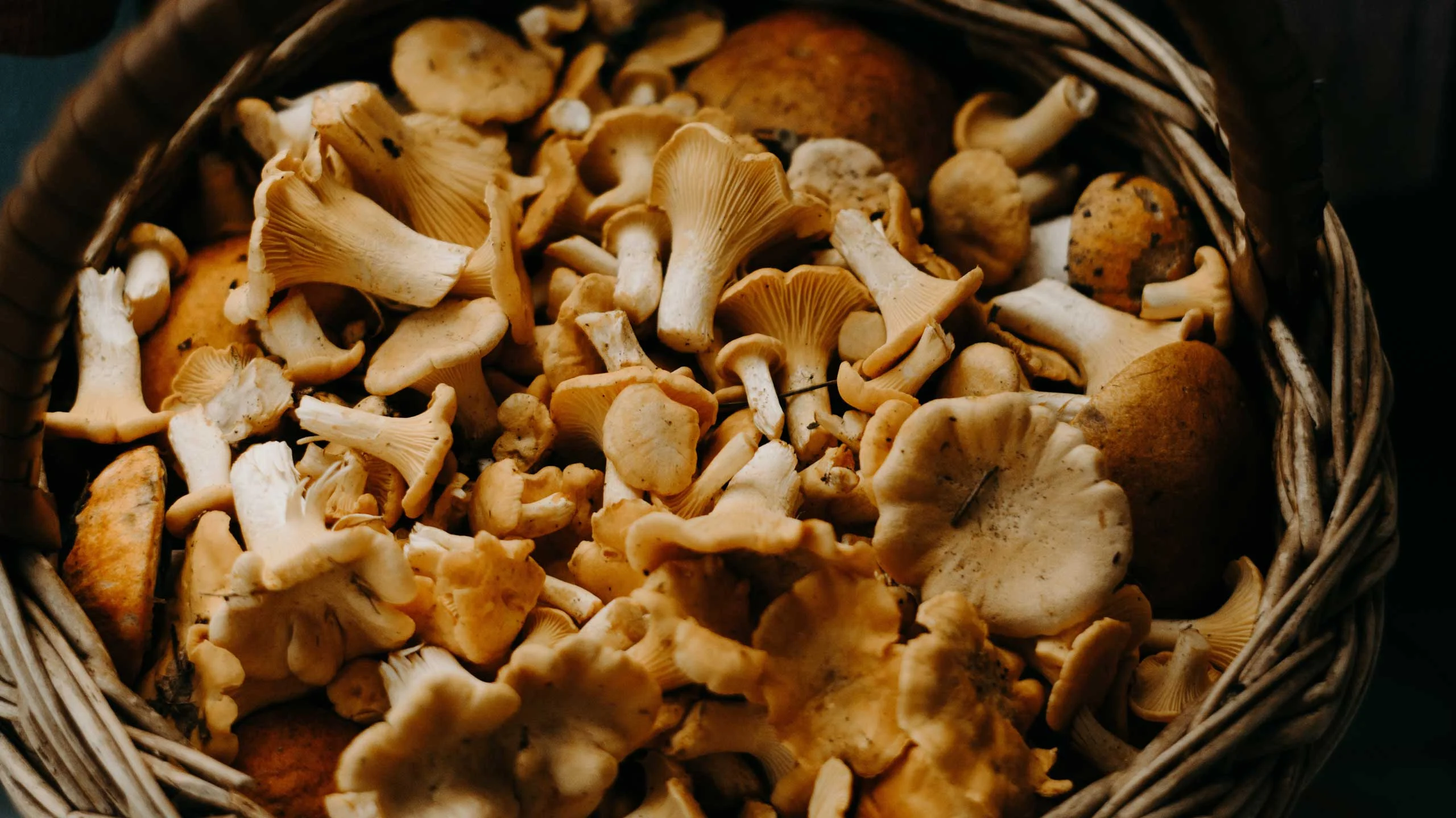 Beneficios de incluir hongos en tu dieta