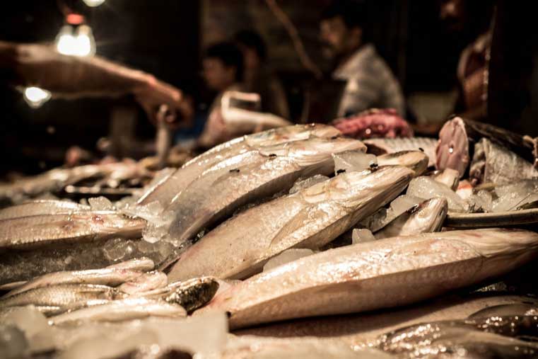 surimi