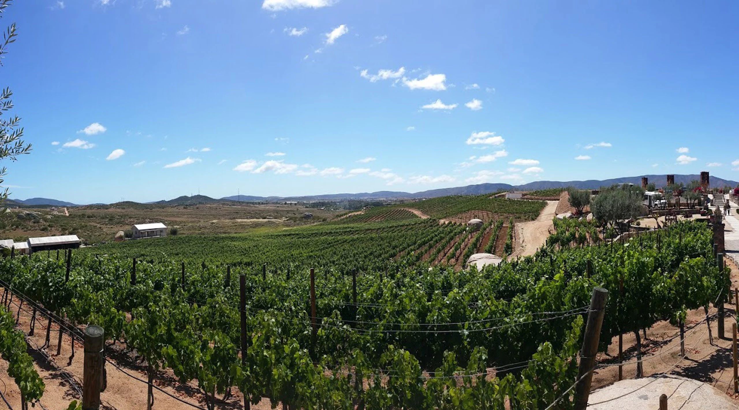 Baja Style Travel: Valle de Guadalupe a tu estilo