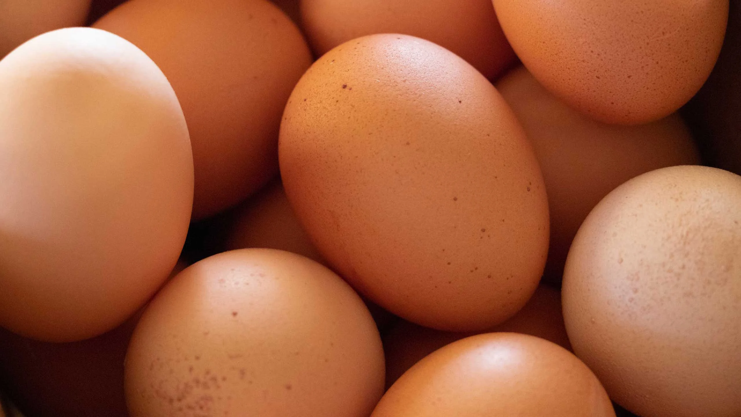¿Los huevos van dentro o fuera del refrigerador?