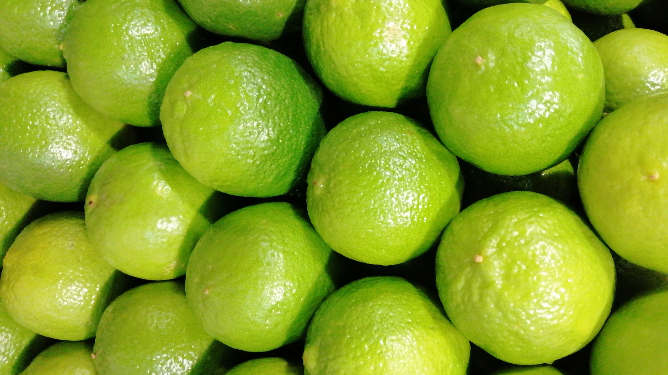 Ingredientes que los españoles introdujeron a México