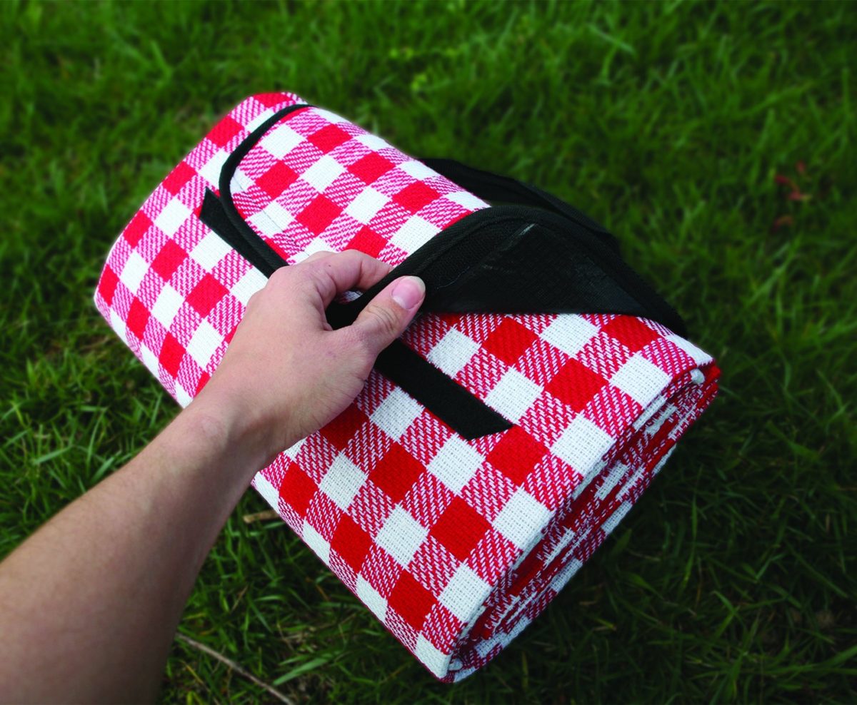 manta picnic