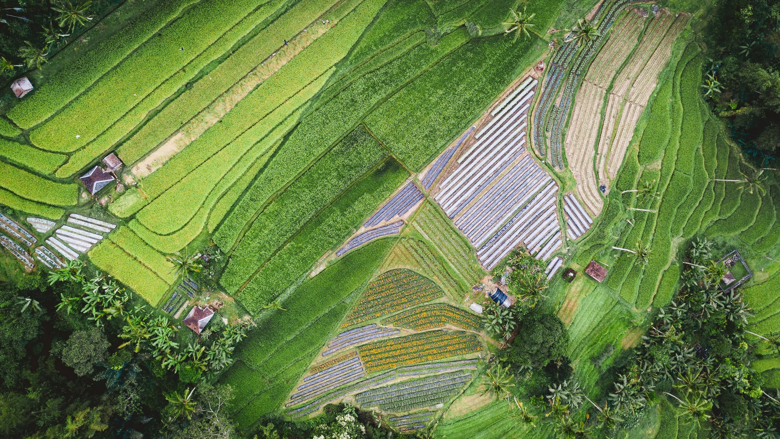 Anthony Myint recibe Basque Culinary World Prize 2019 por su lucha contra el cambio climático