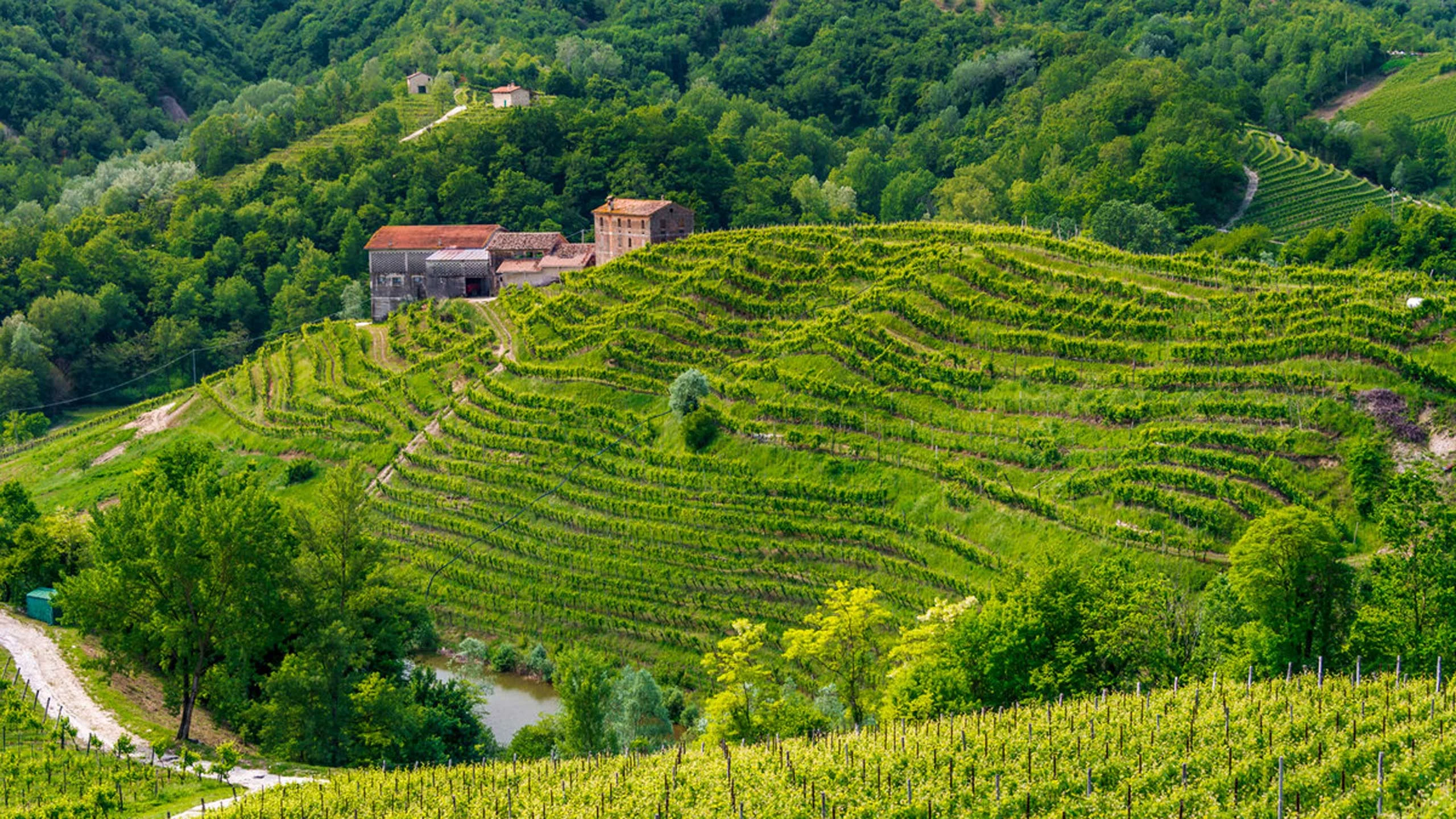 Esta región de Prosecco ahora es patrimonio mundial de la UNESCO Esta región de Prosecco ahora es patrimonio mundial de la UNESCO