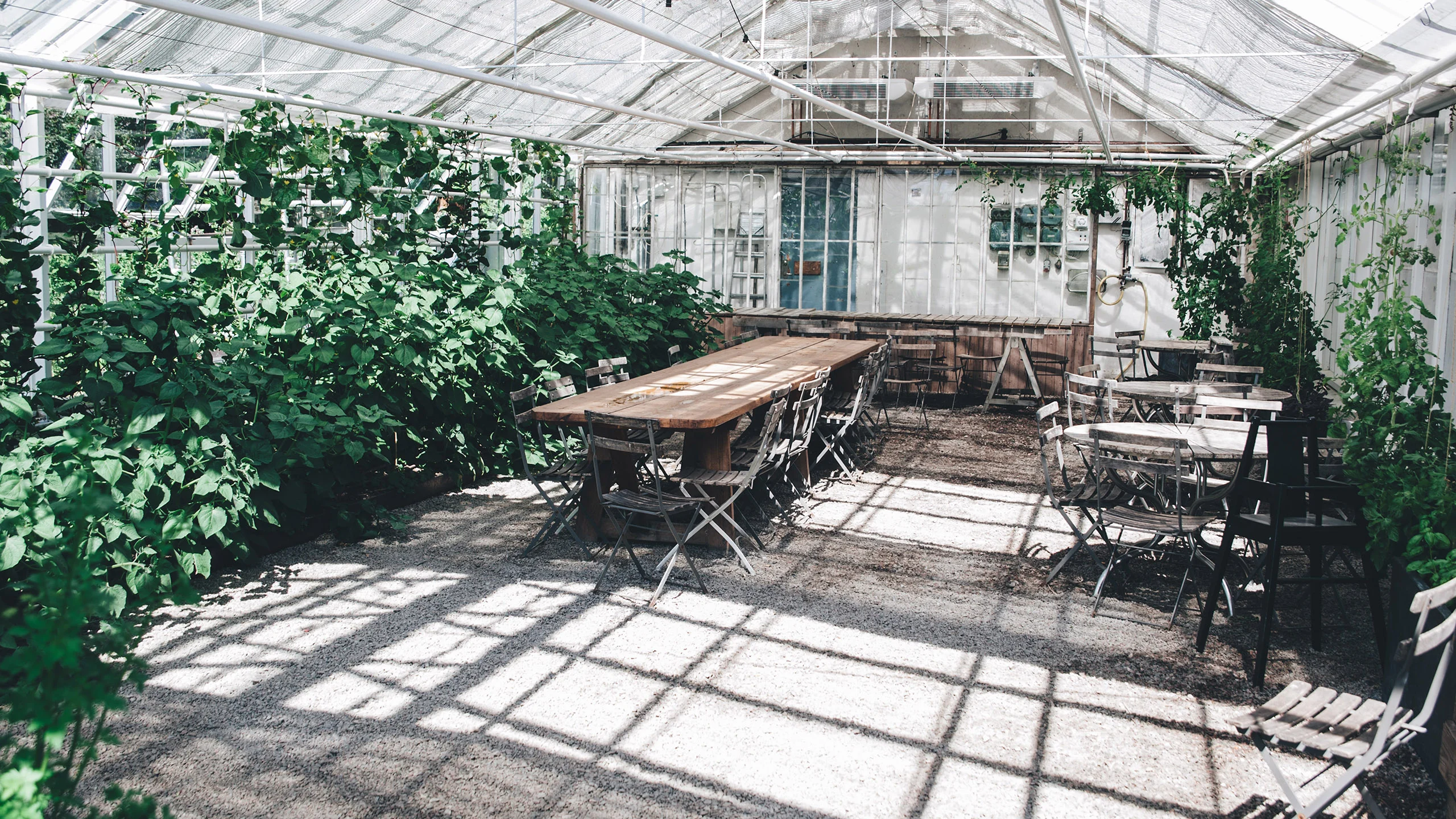Tips para hacer un huerto urbano en casa