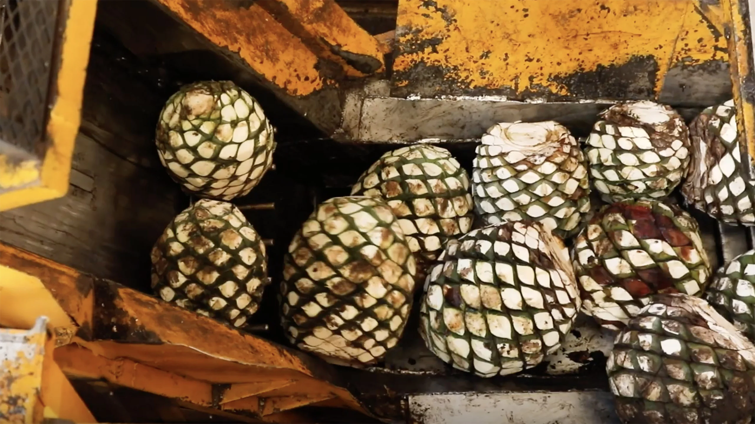 Desde el origen: tequila