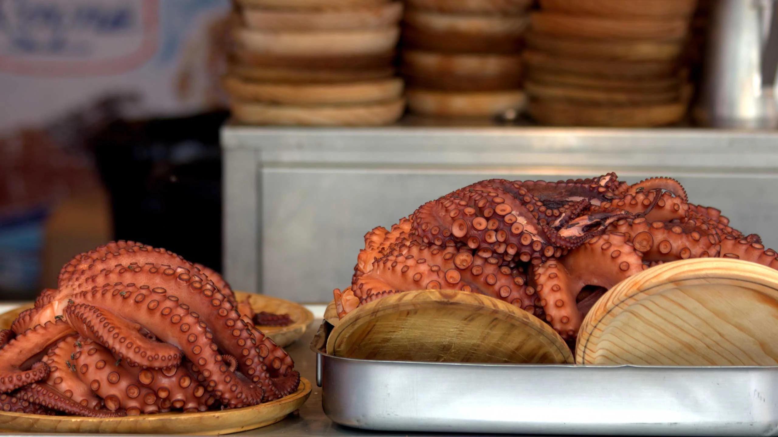 Semejanzas y diferencias entre el pulpo, la sepia y el calamar