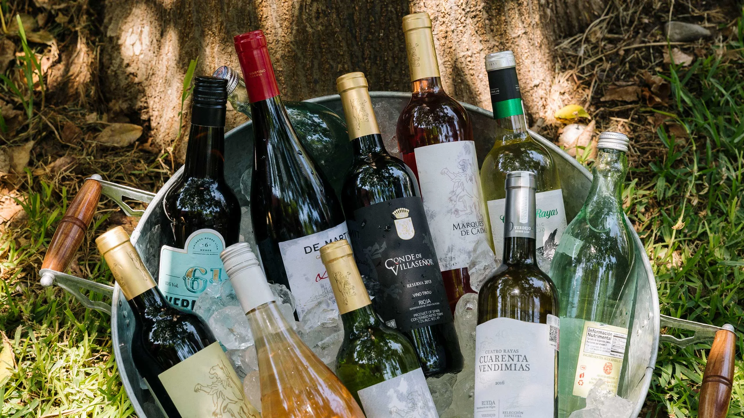 Vinos para acompañar tu asado