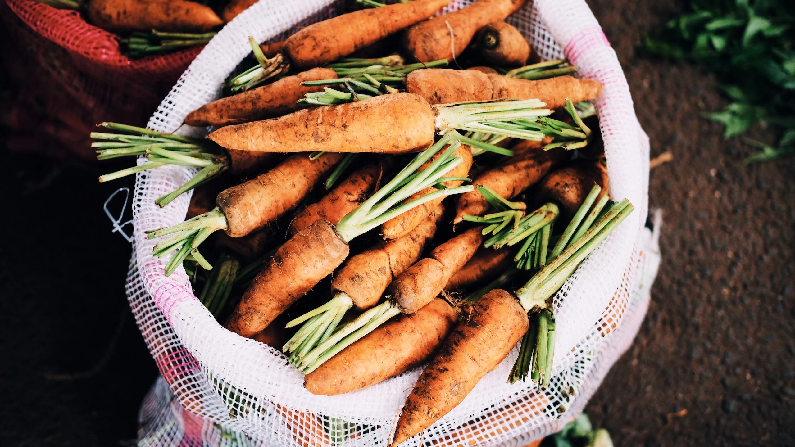 Vegetales recién cosechados hasta tu casa con esta tienda en línea