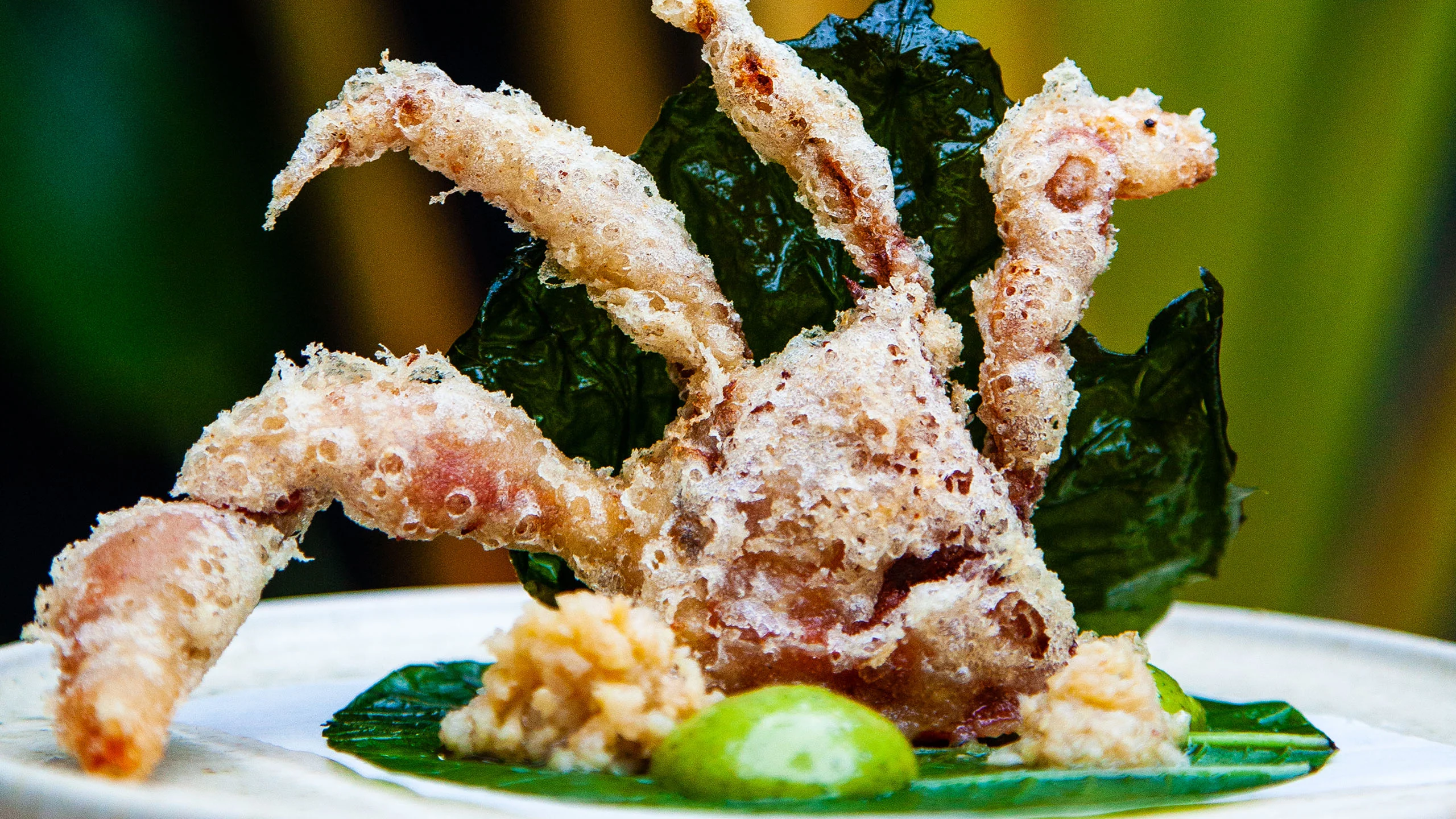 Best New Chefs: José Luis Hinostroza