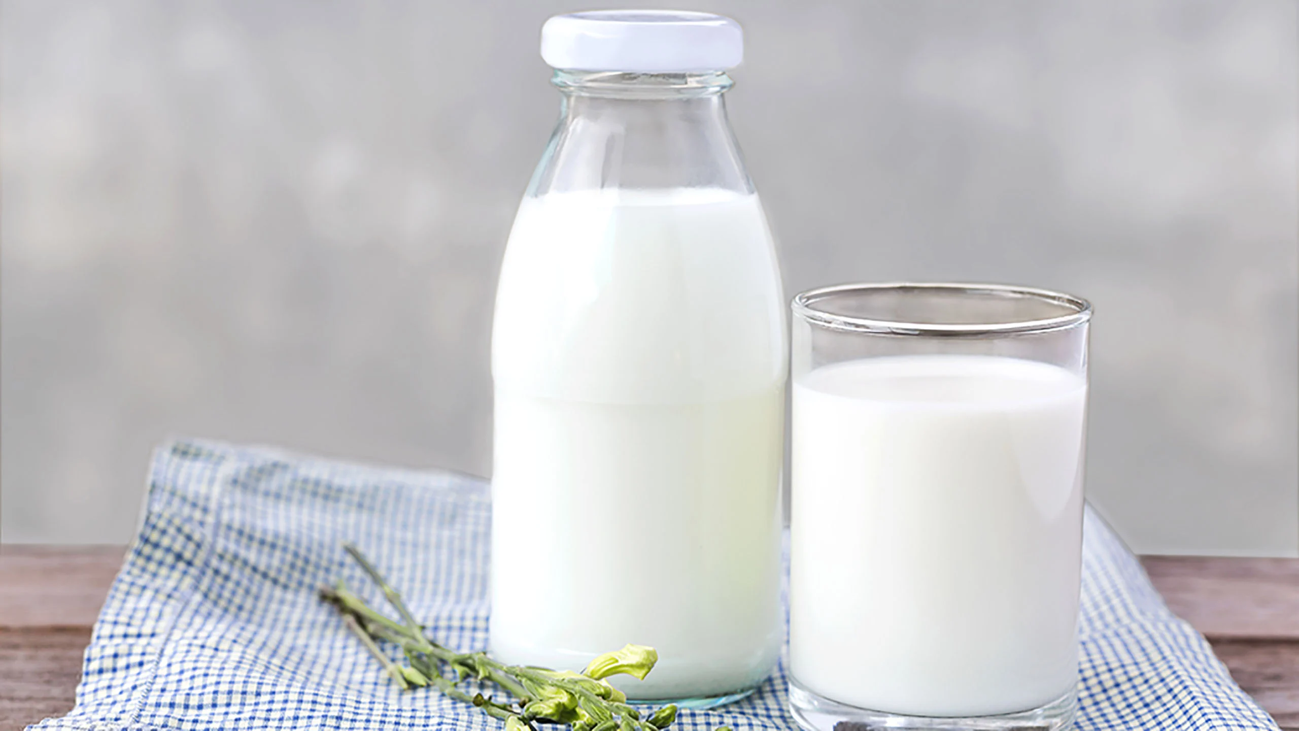 ¡Sí a la leche! Te decimos cuáles son sus beneficios