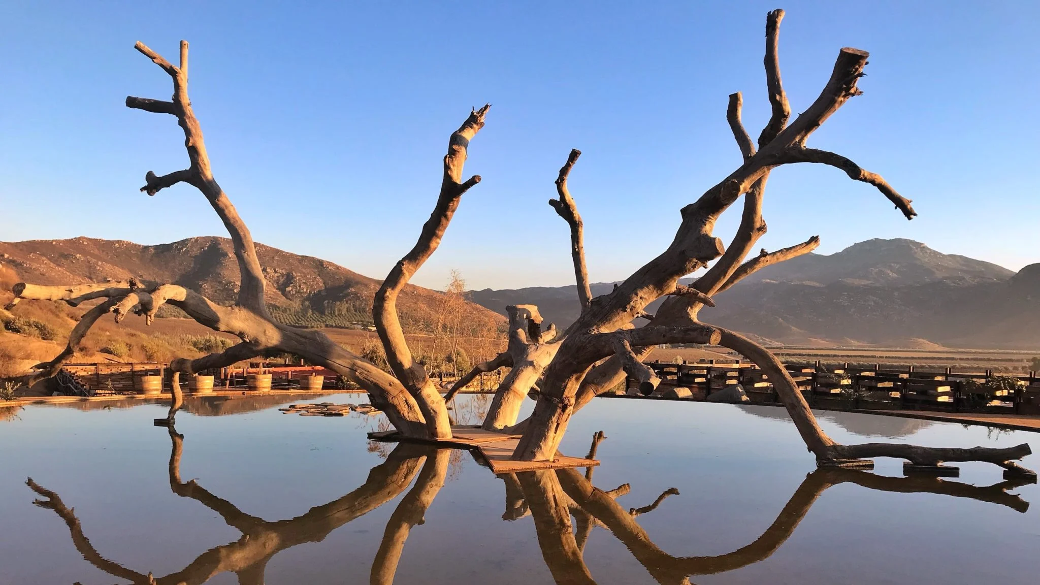 Los chefs Unidos por el Valle de Guadalupe en estas cenas con causa