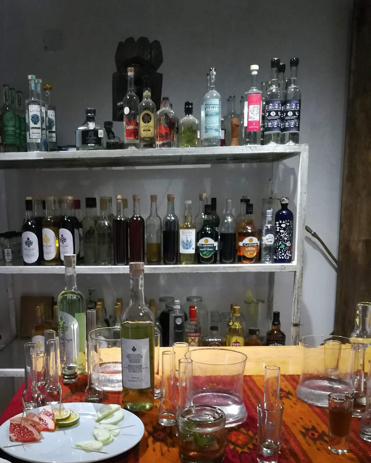 raicilla en Puerto Vallarta