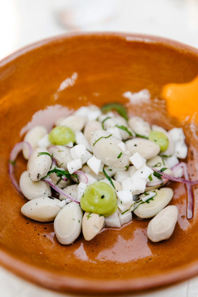 Ceviche de parota