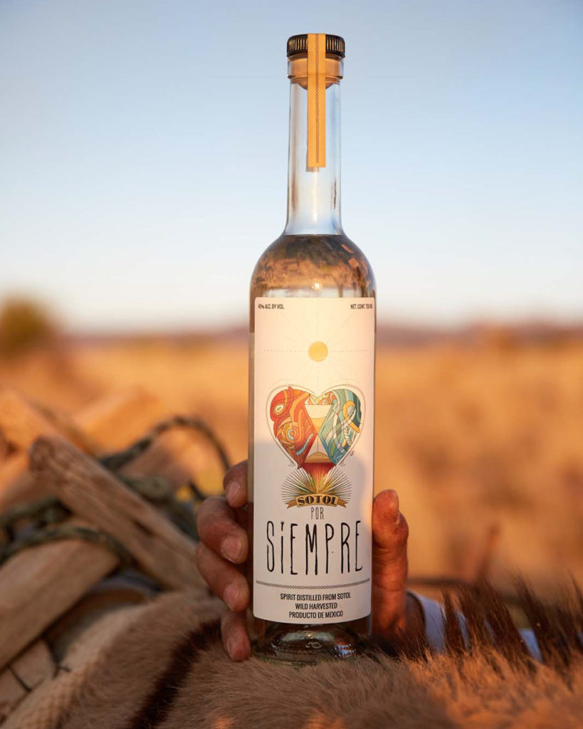 botella de sotol