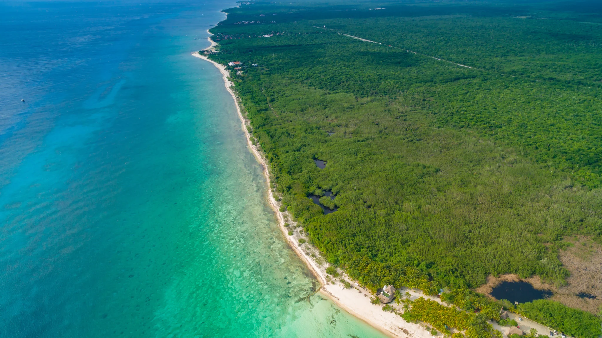 ¿Dónde comer como local en Cozumel?