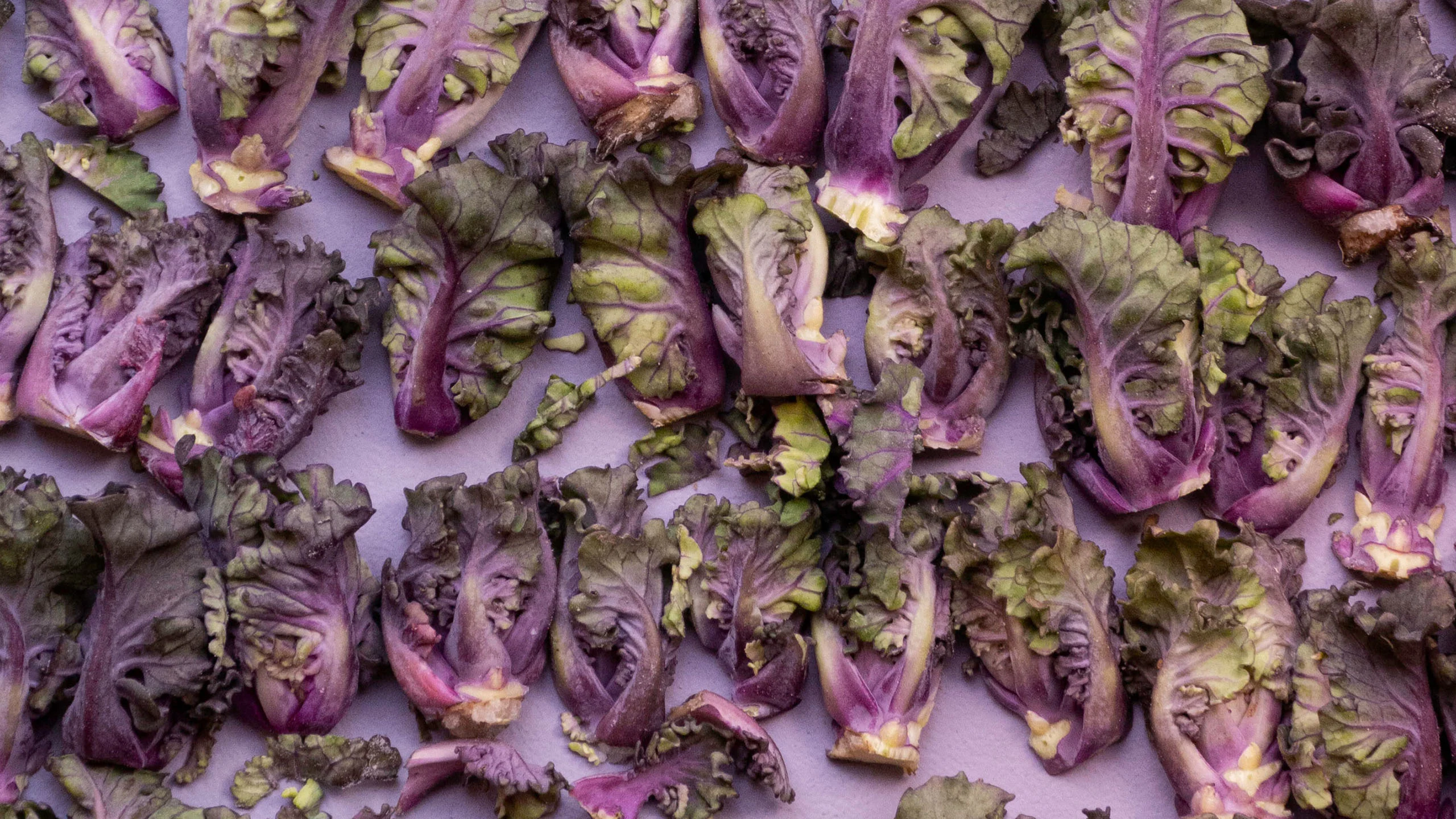 Tres tendencias de alimentación para mantenerte saludable en 2020