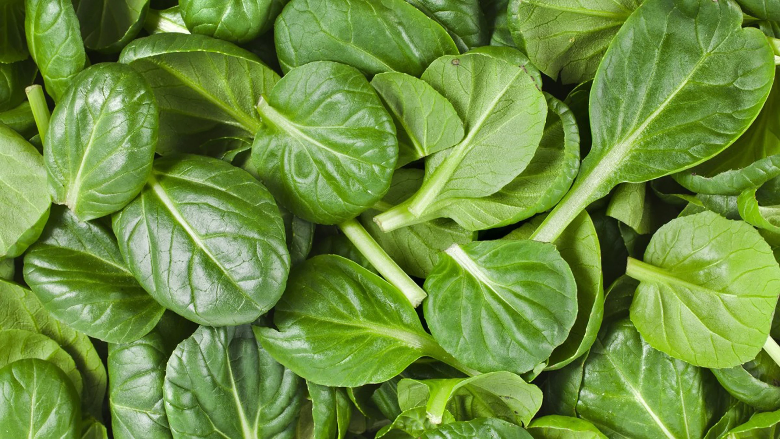 Estos son los 5 alimentos que sí deberías comprar orgánicos