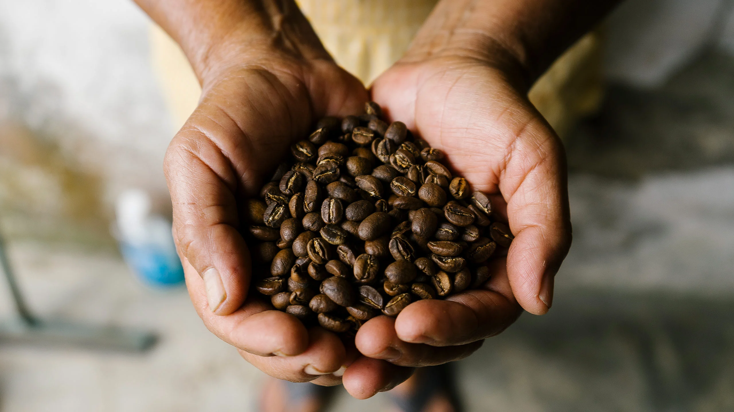 Café Brújula: un café con causa en la ciudad de Oaxaca