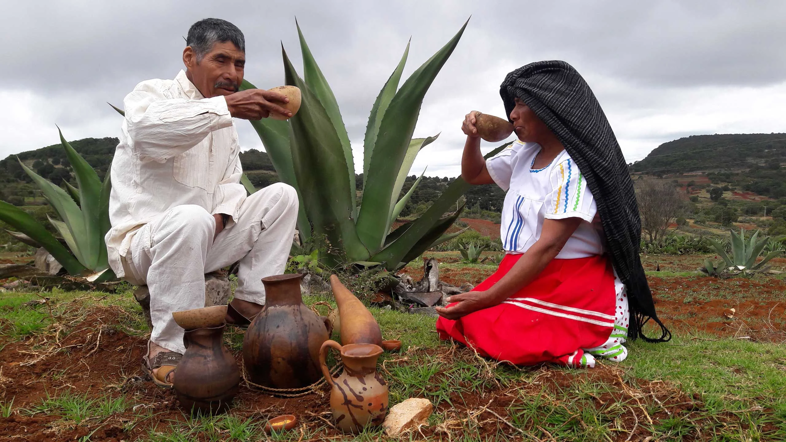 Las mujeres milenarias del pulque