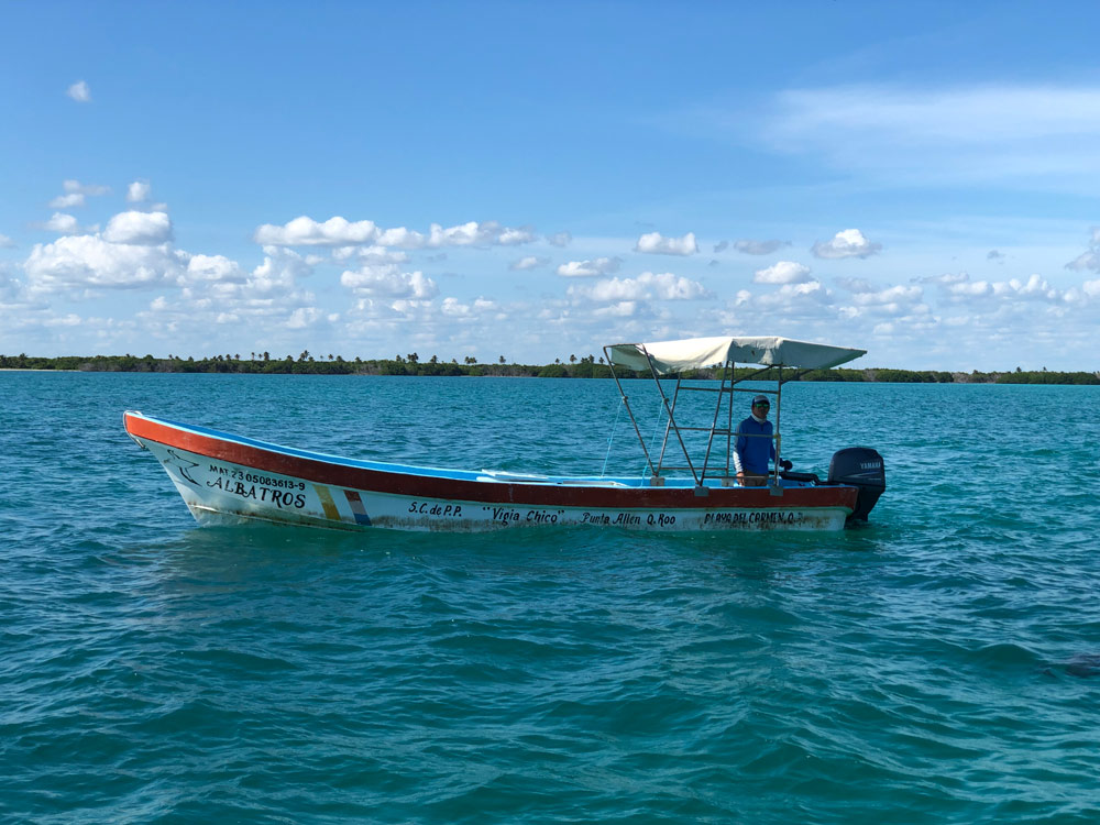 langosta punta allen