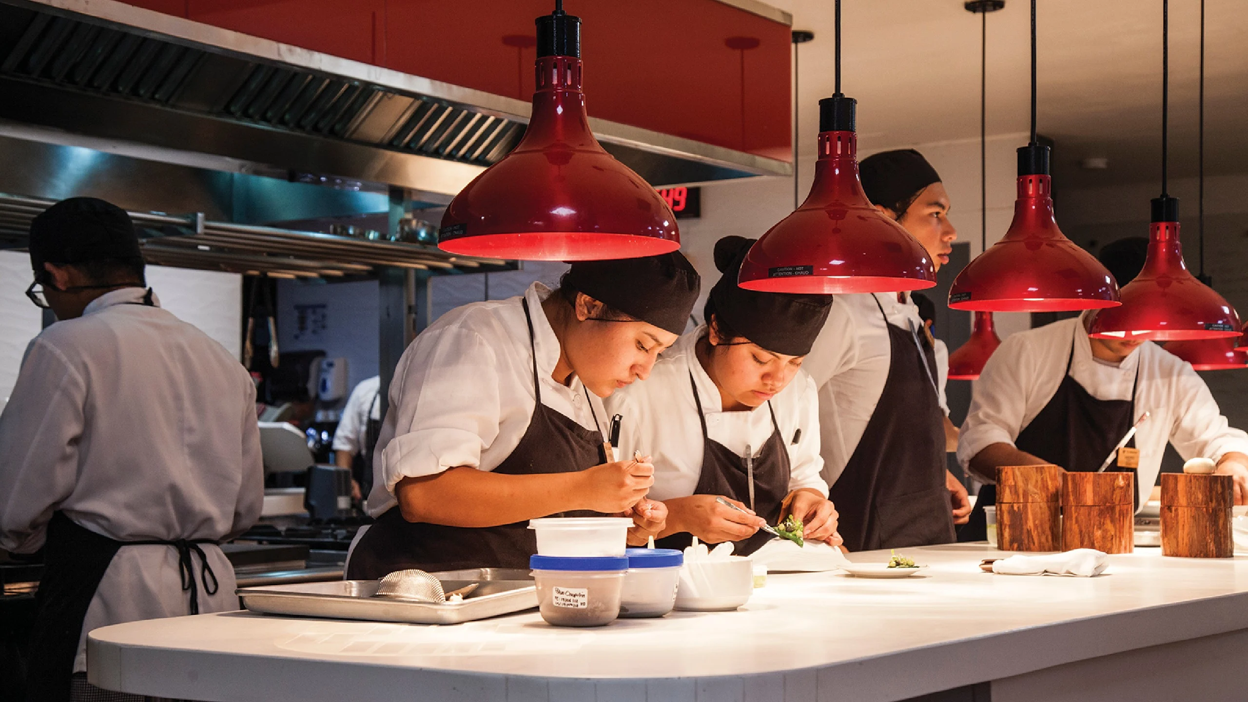 Stellar Collective, una plataforma para apoyar restaurantes en América Latina