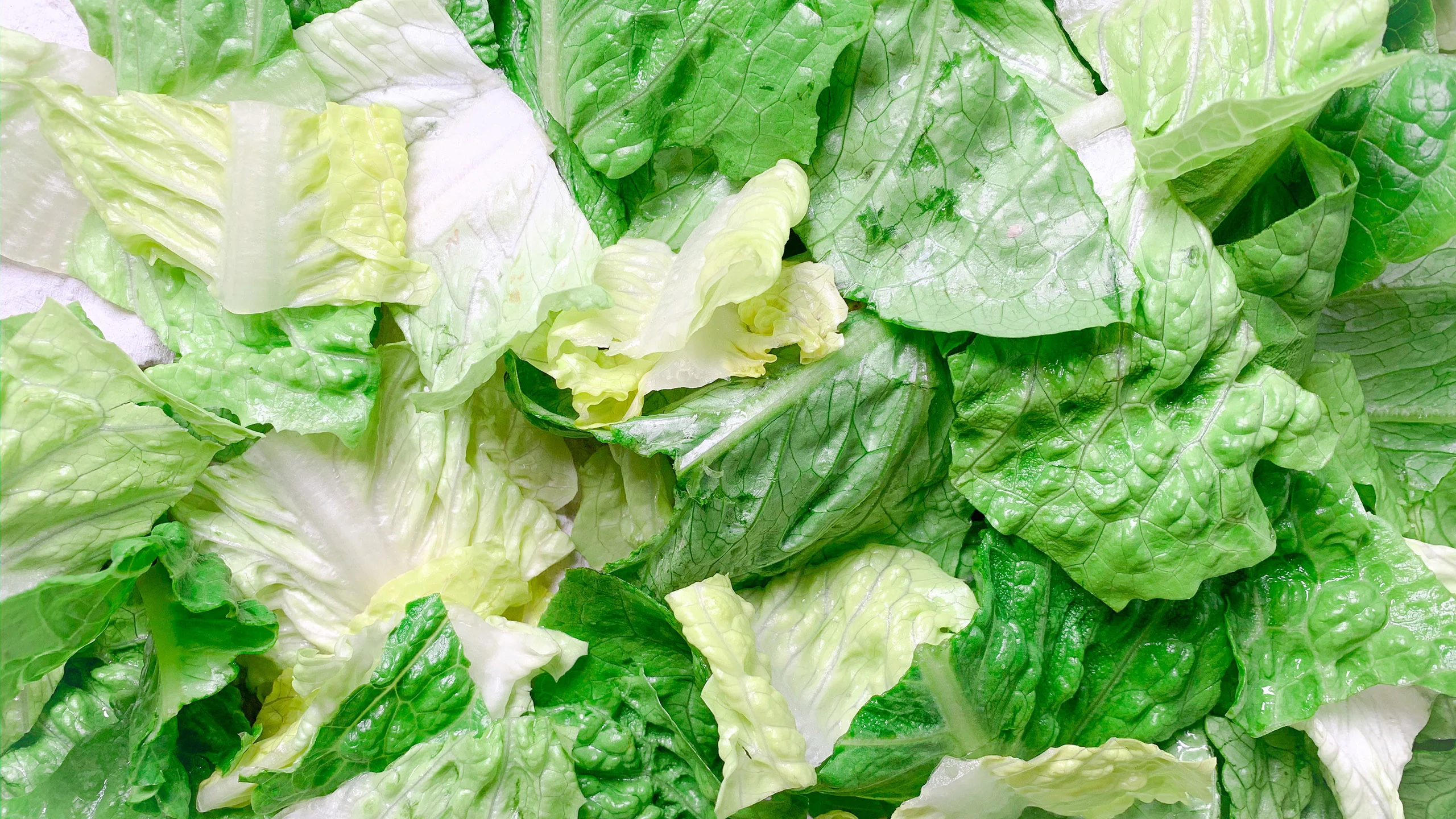 ¡No las tires! Revive esas frutas y verduras que tienes en el refri