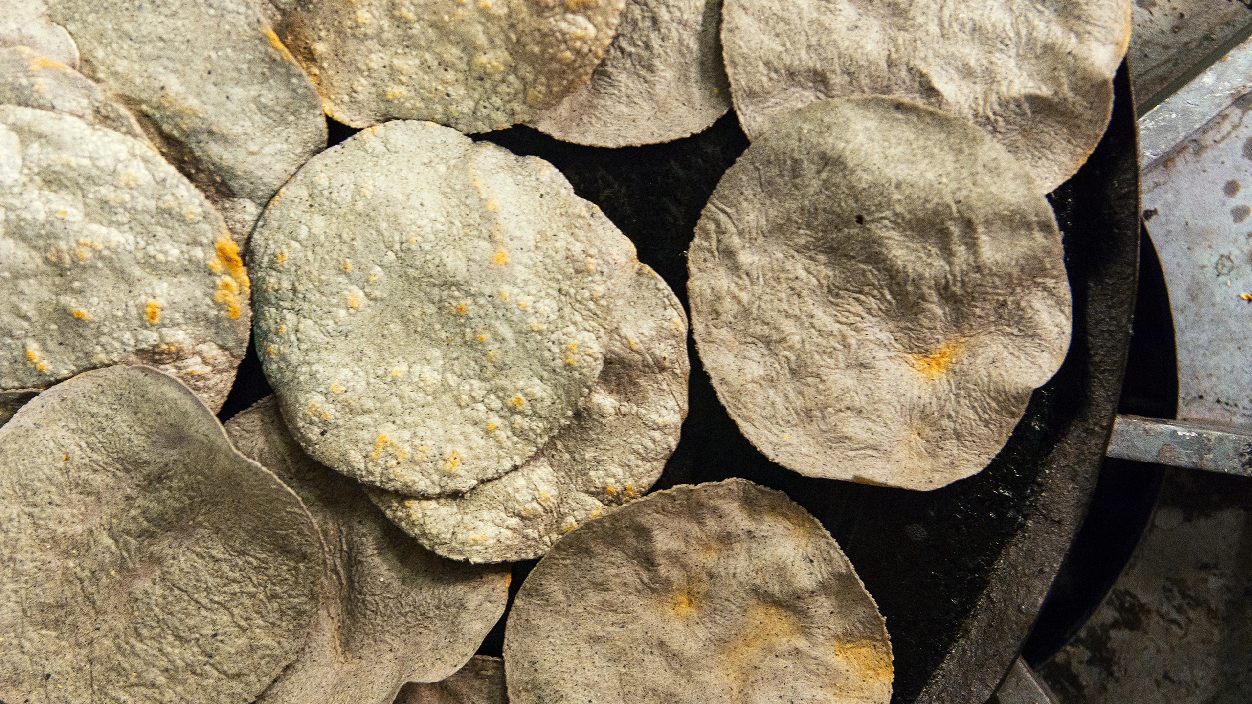 Estas tortillas son mejores que las del supermercado (y las llevan a tu casa)