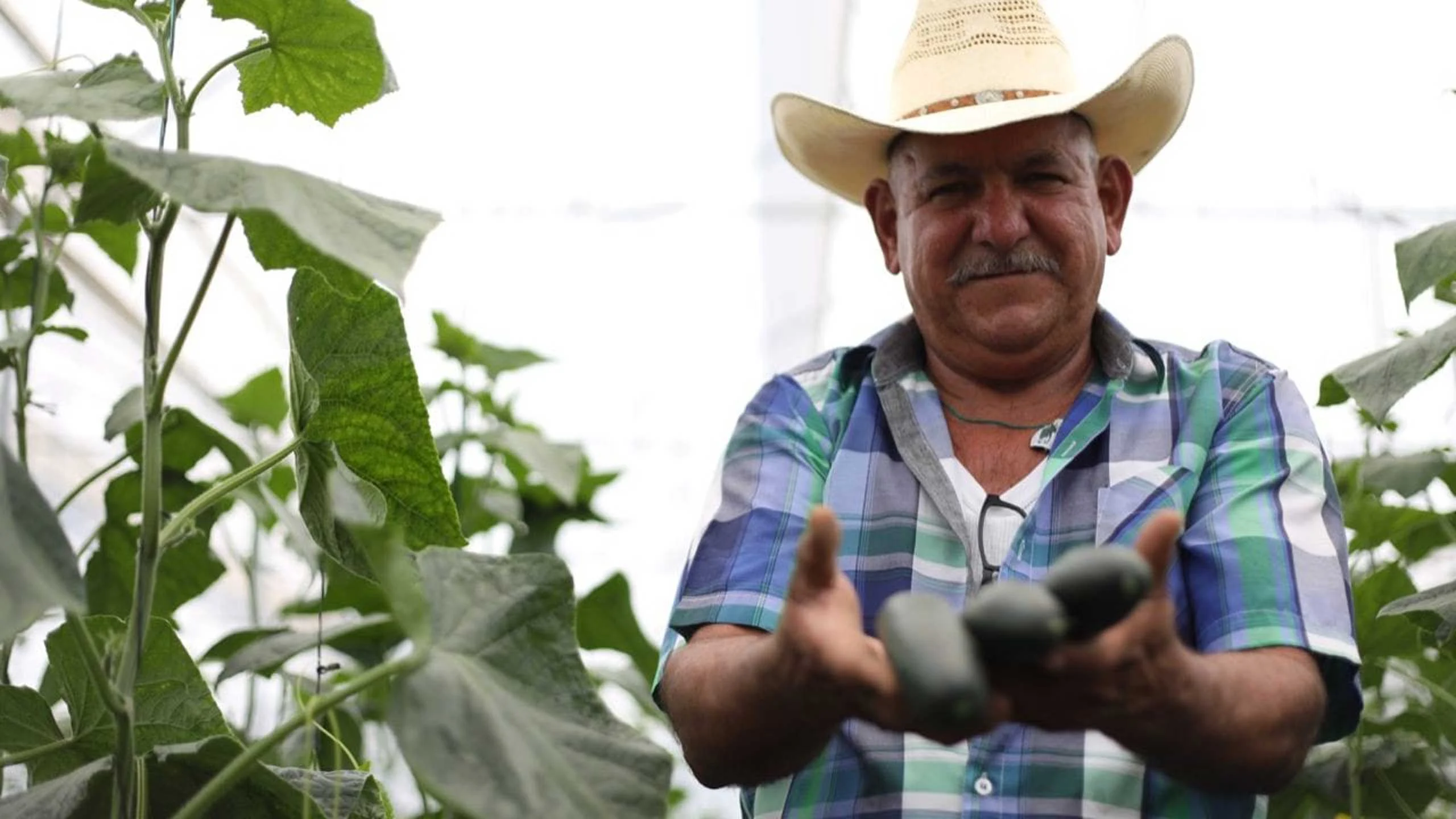 Buscan rescatar 2,700 toneladas de alimentos orgánicos en peligro por Covid-19