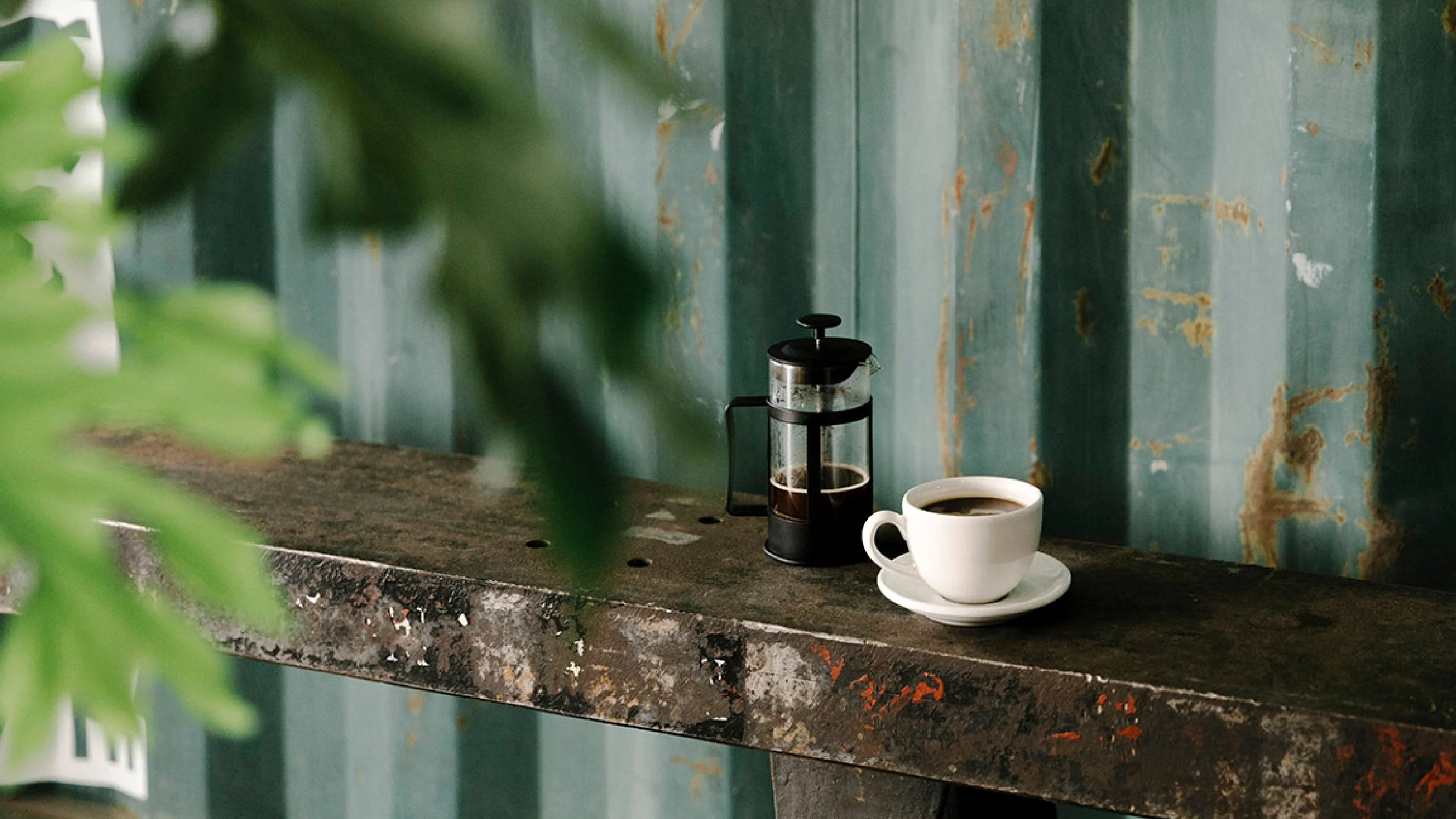 Un experto nos explicó como lograr el mejor café en casa