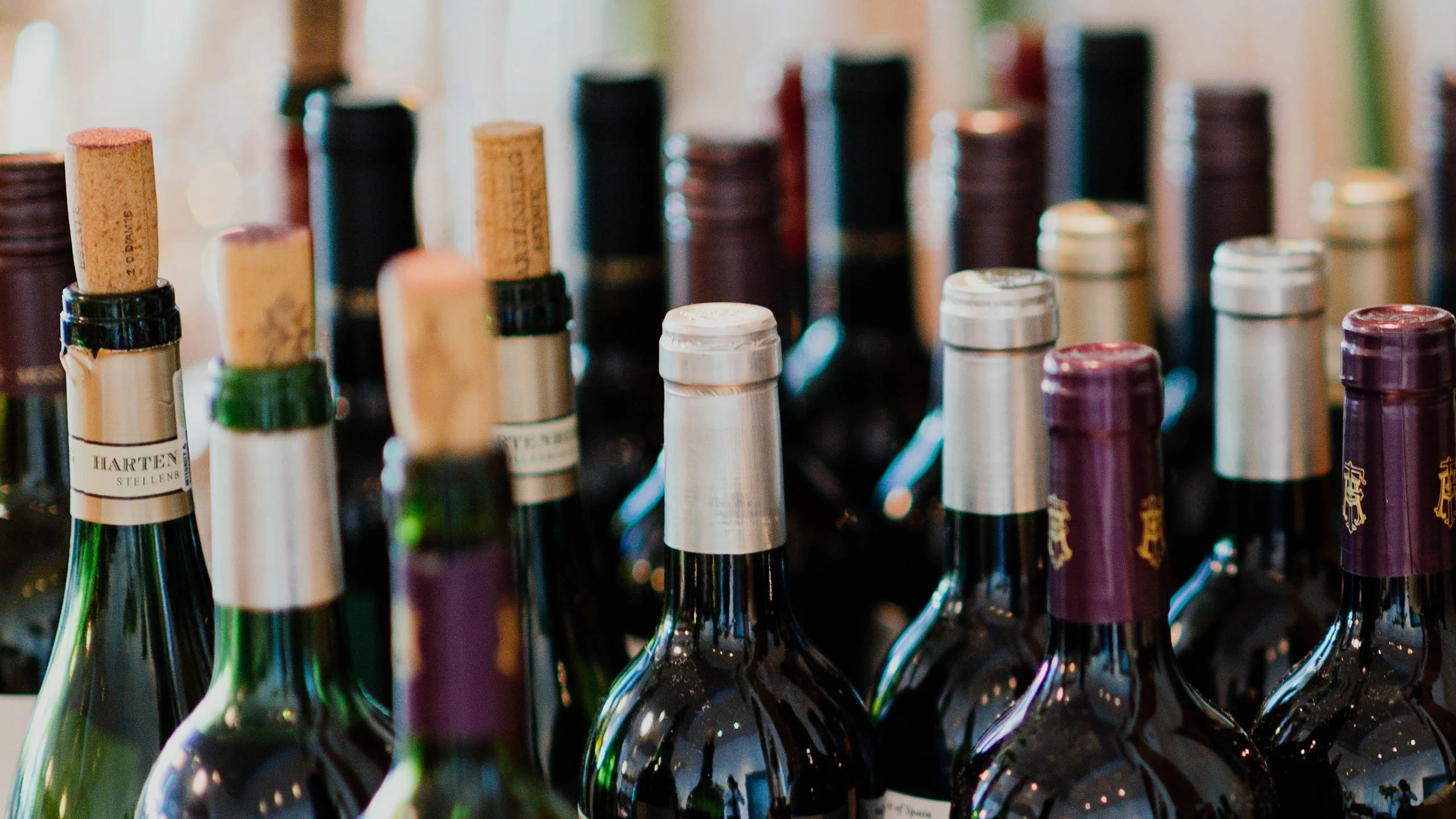 Celebra el Día de la Madres con estas experiencias de vino mexicano