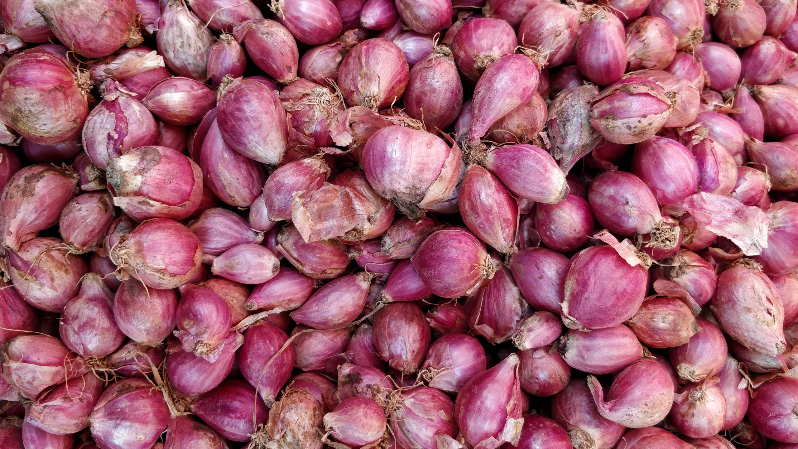 Los echalotes son los primos del ajo y la cebolla que necesitas en tu cocina