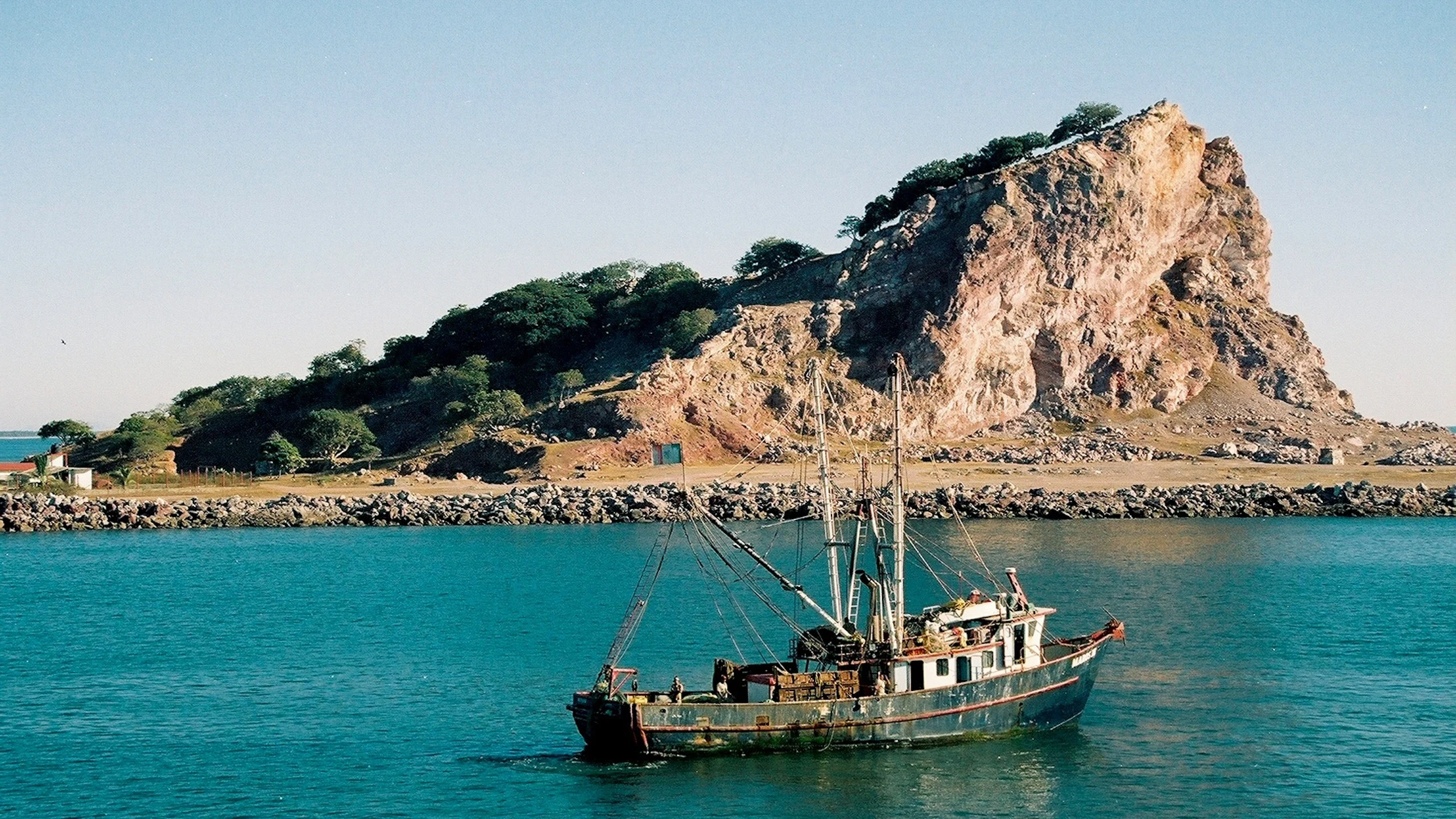 Apoya a los pescadores nacionales con Alimenta tu Corazón MX