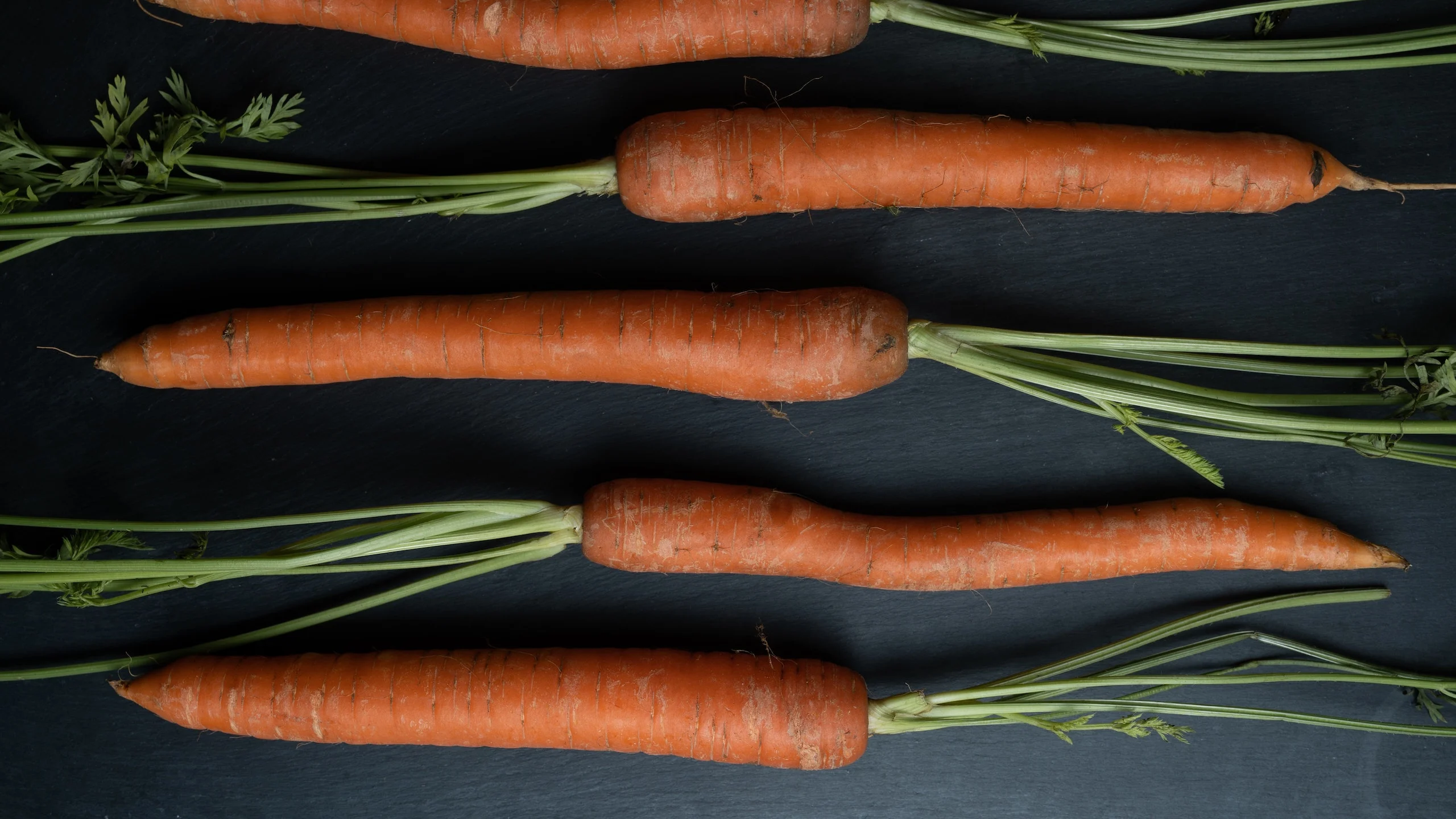 Estas son las verduras ideales para comenzar tu huerto en casa