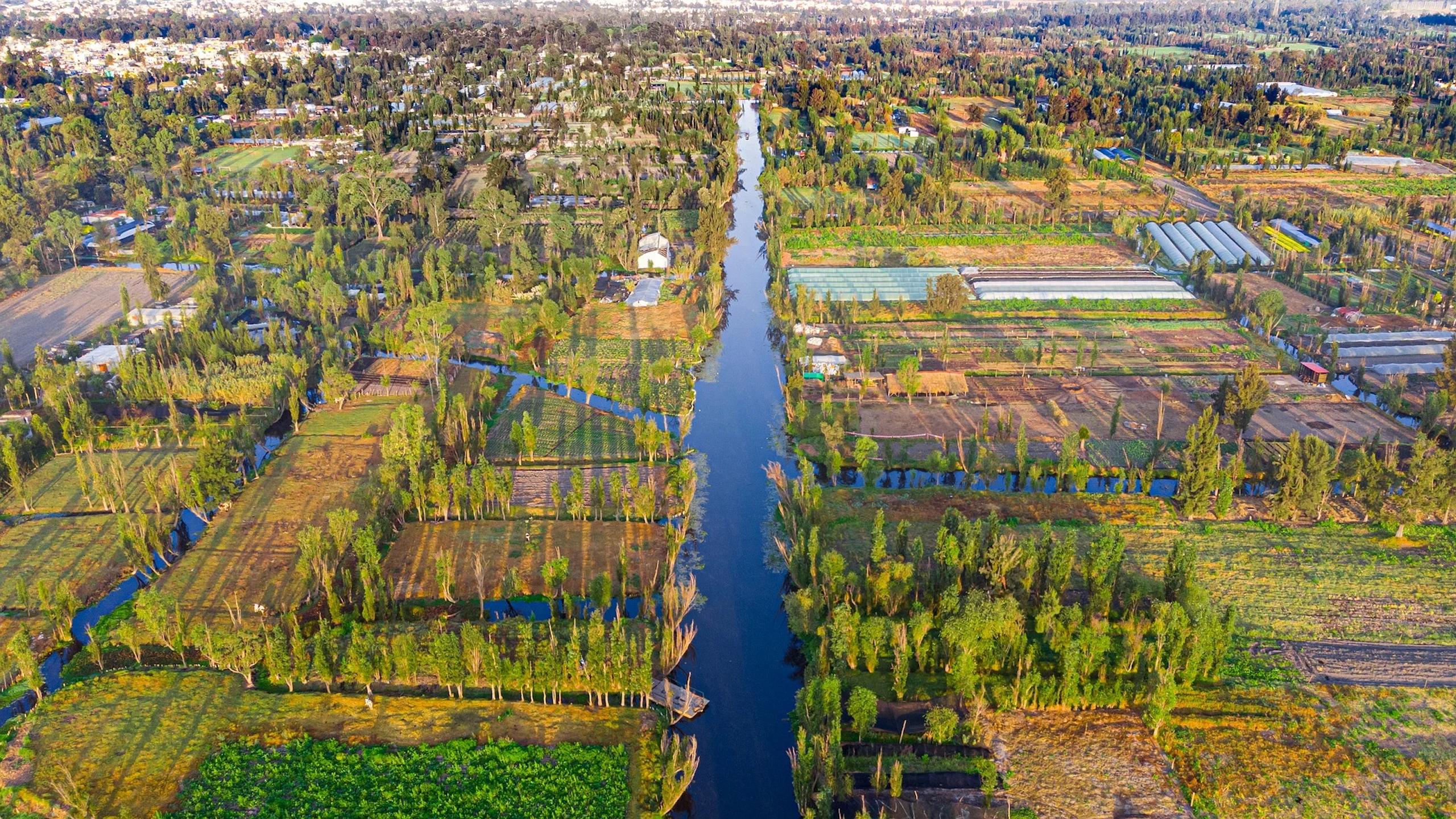 Las chinampas son modelo de agricultura sostenible para el futuro, según la FAO