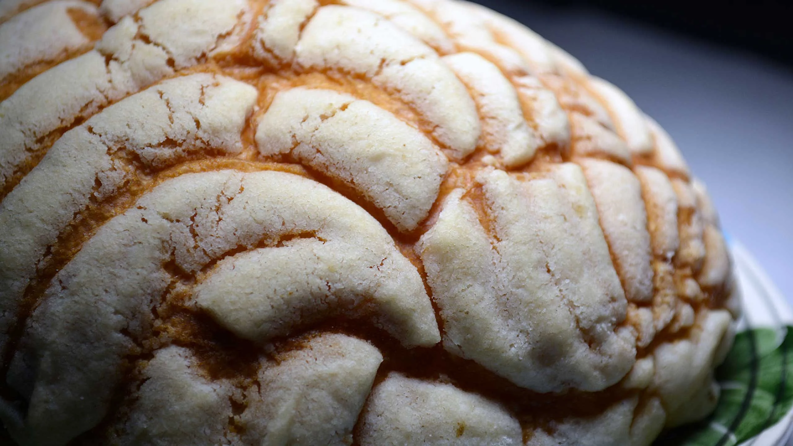 ¿De dónde vienen las conchas y cómo se hacen?