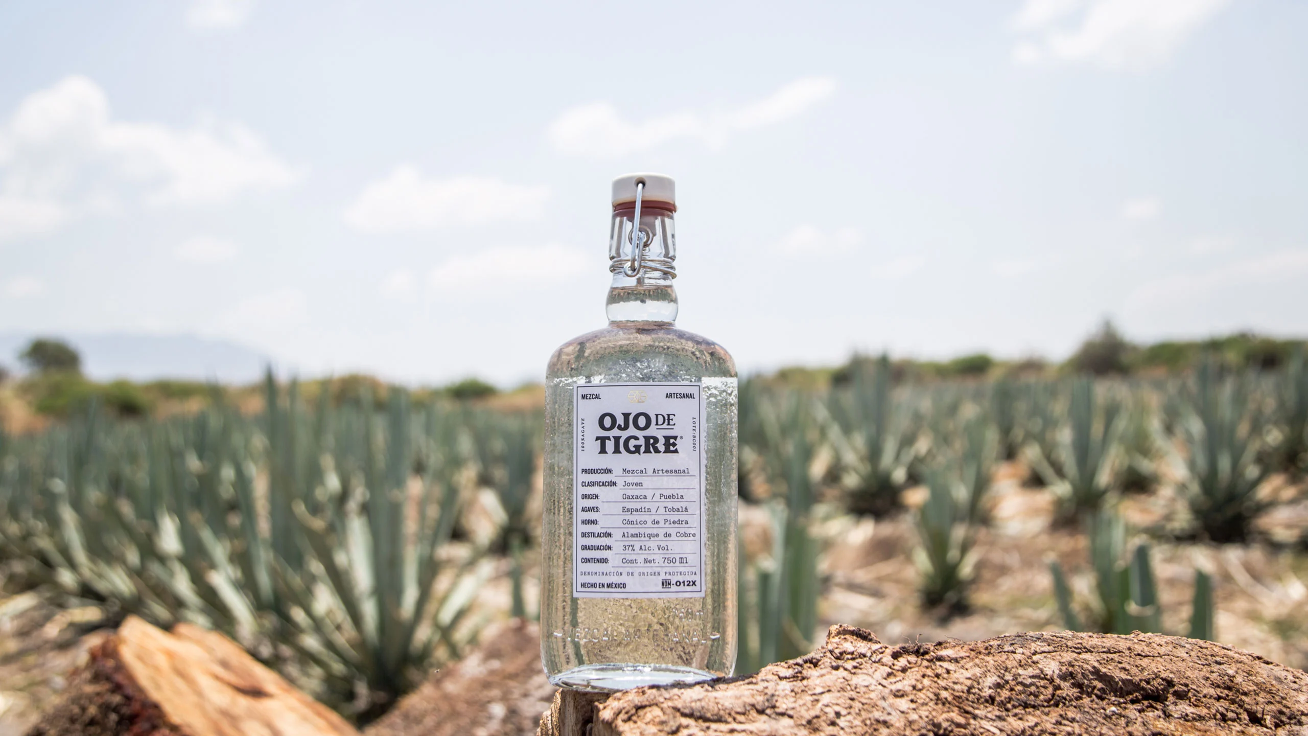 Mezcal Ojo de Tigre y Pernod Ricard se unen para la expansión del destilado