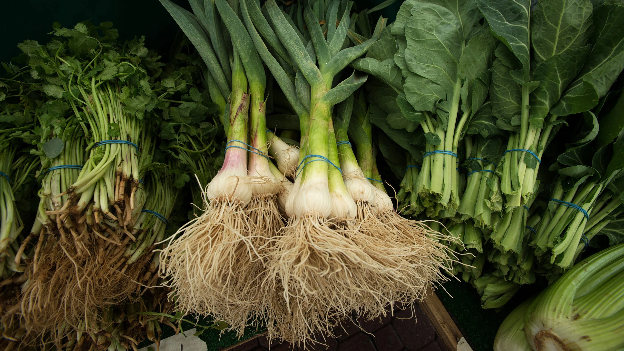 El ajo tierno será tu nuevo ingrediente favorito