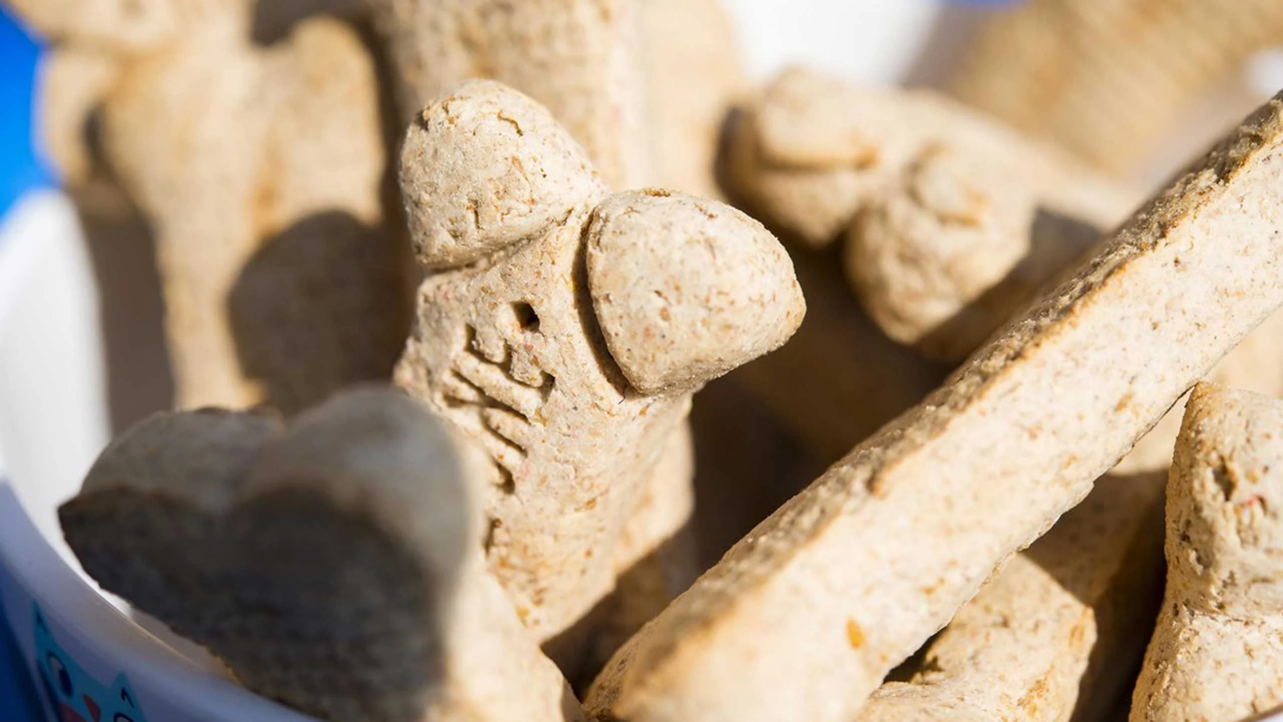 ¡Celebra el día del perro con estos snacks!