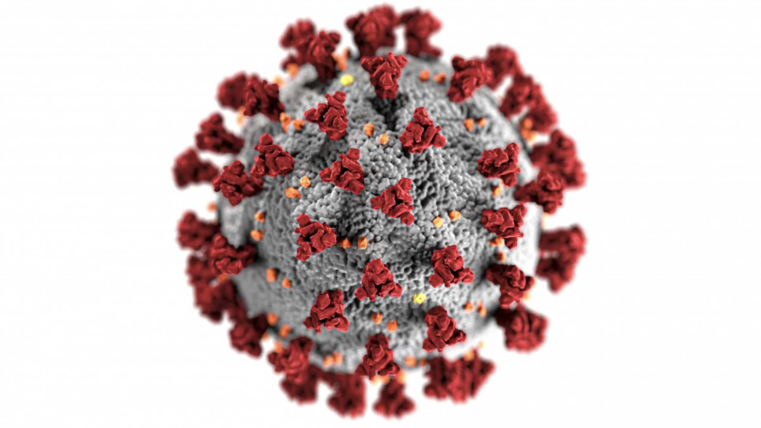 Grant Achatz creó un canapé inspirado en el virus Covid-19
