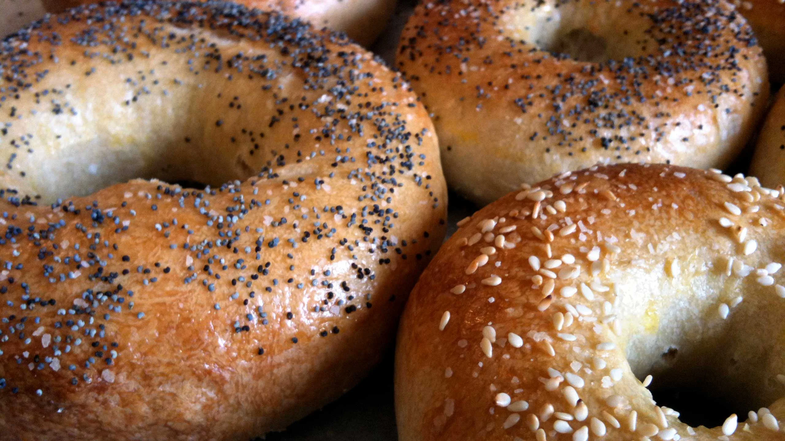 Mi nueva obsesión: bagels para el desayuno Mi nueva obsesión: bagels para el desayuno