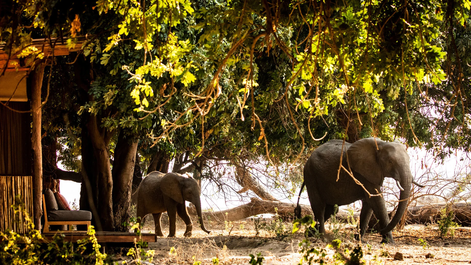 Wilderness Safaris: donde una buena comida sucede en parajes remotos