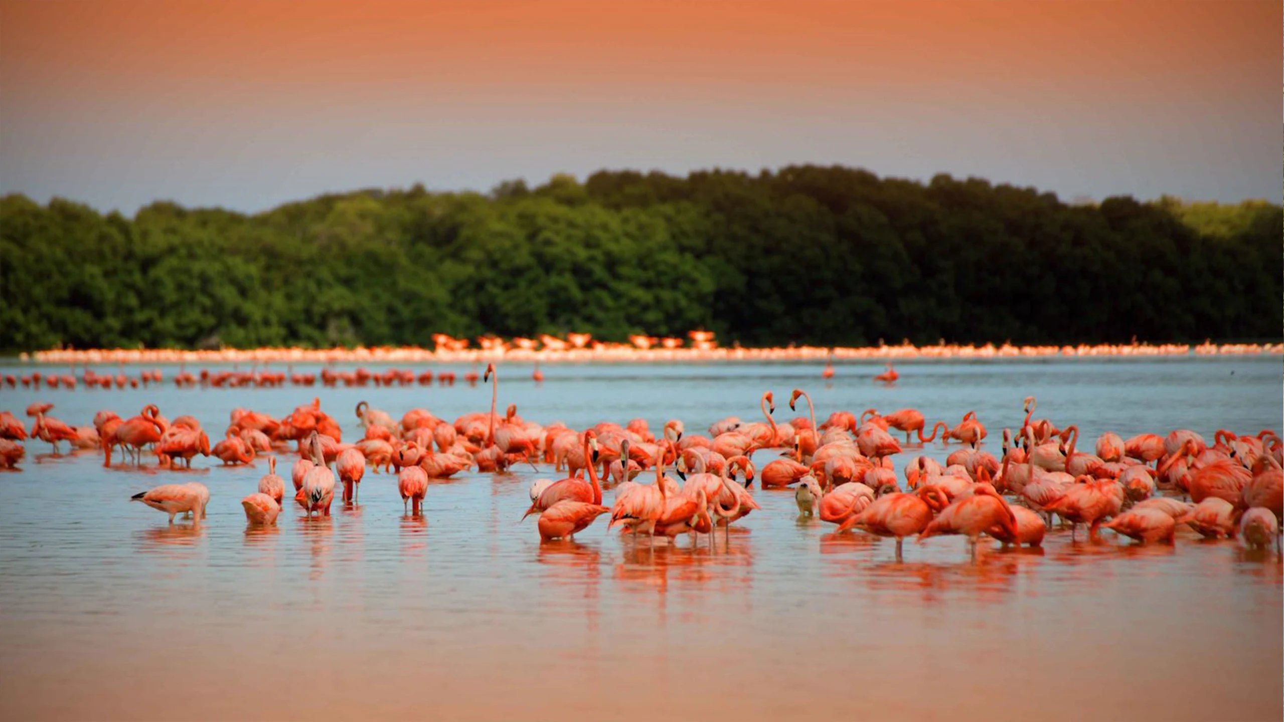 Tres tesoros de Yucatán por descubrir
