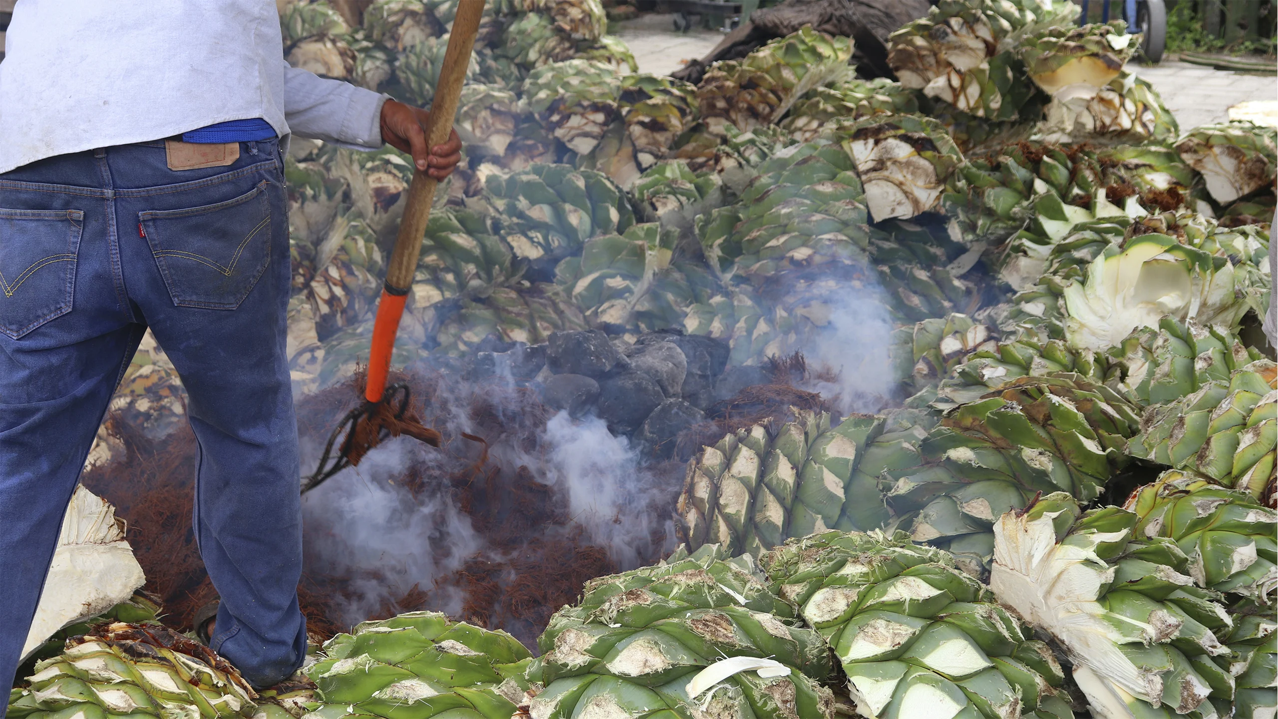 ¿Cómo se adaptan los mezcaleros al reto coronavirus?