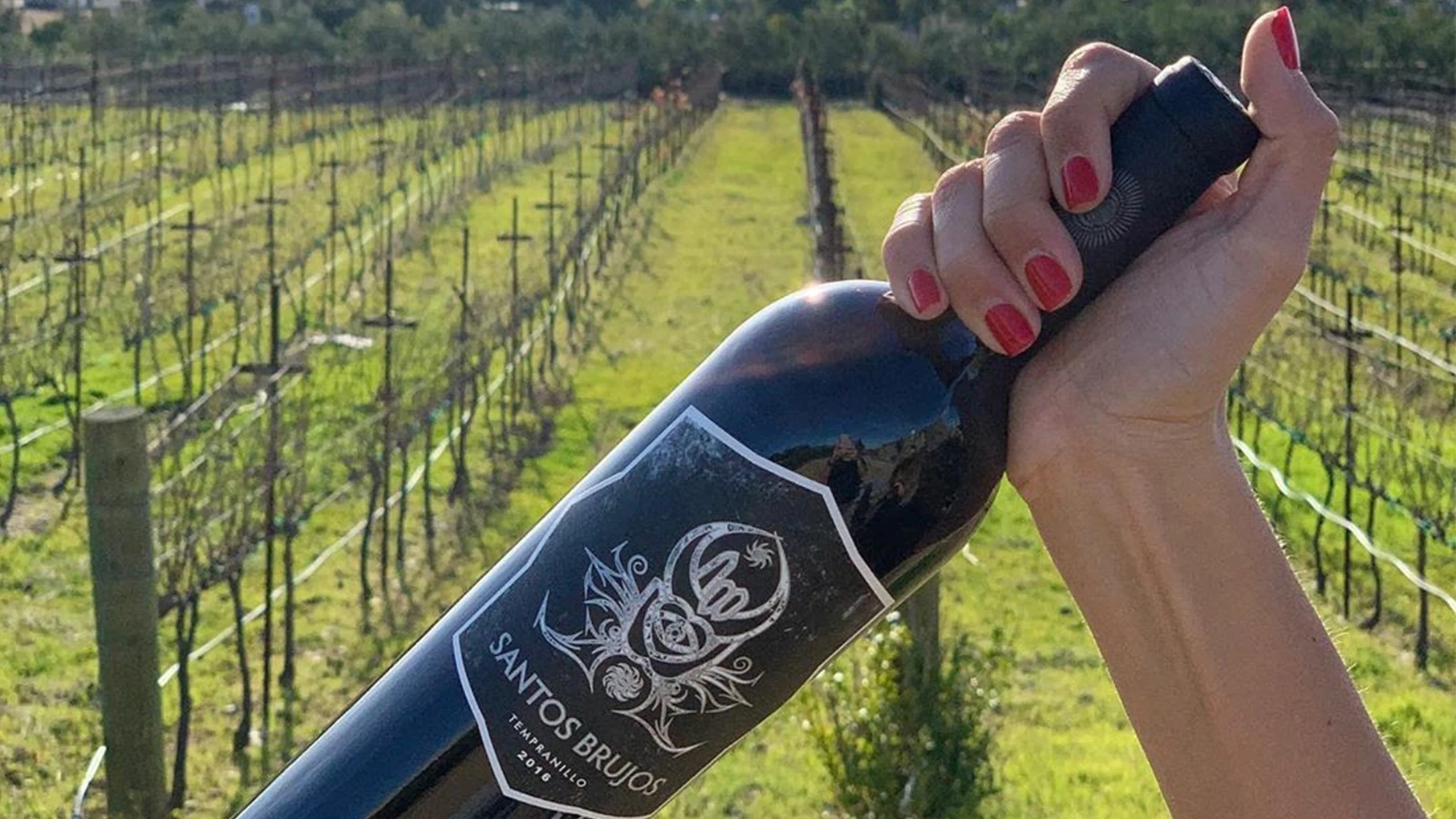 Este es el único vino mexicano con certificación biodinámica